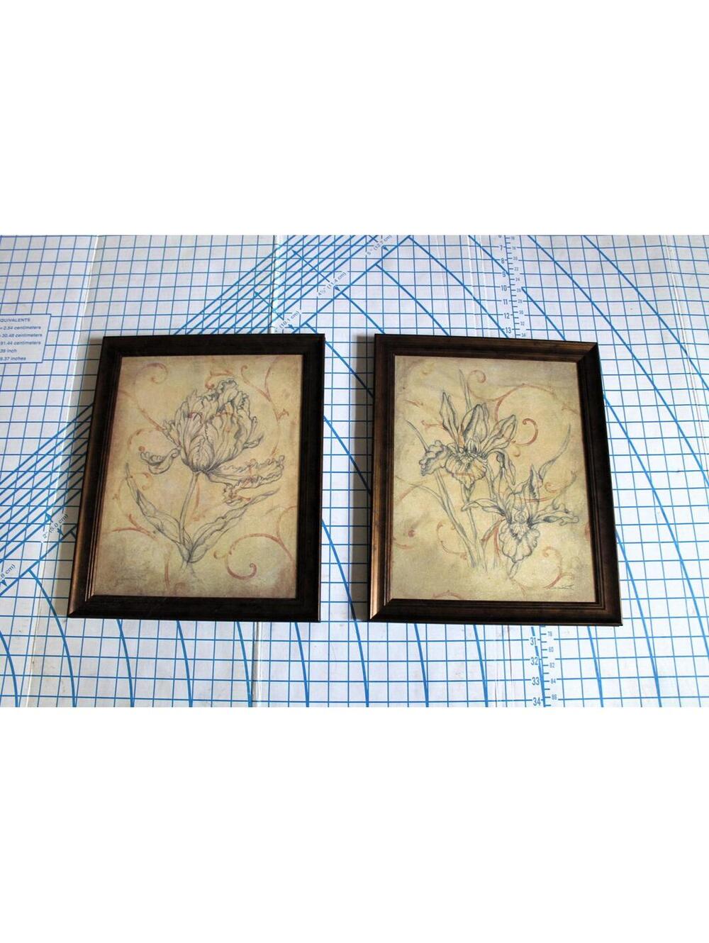 Set of 2 Framed Floral Prints by Justin Coopersmith